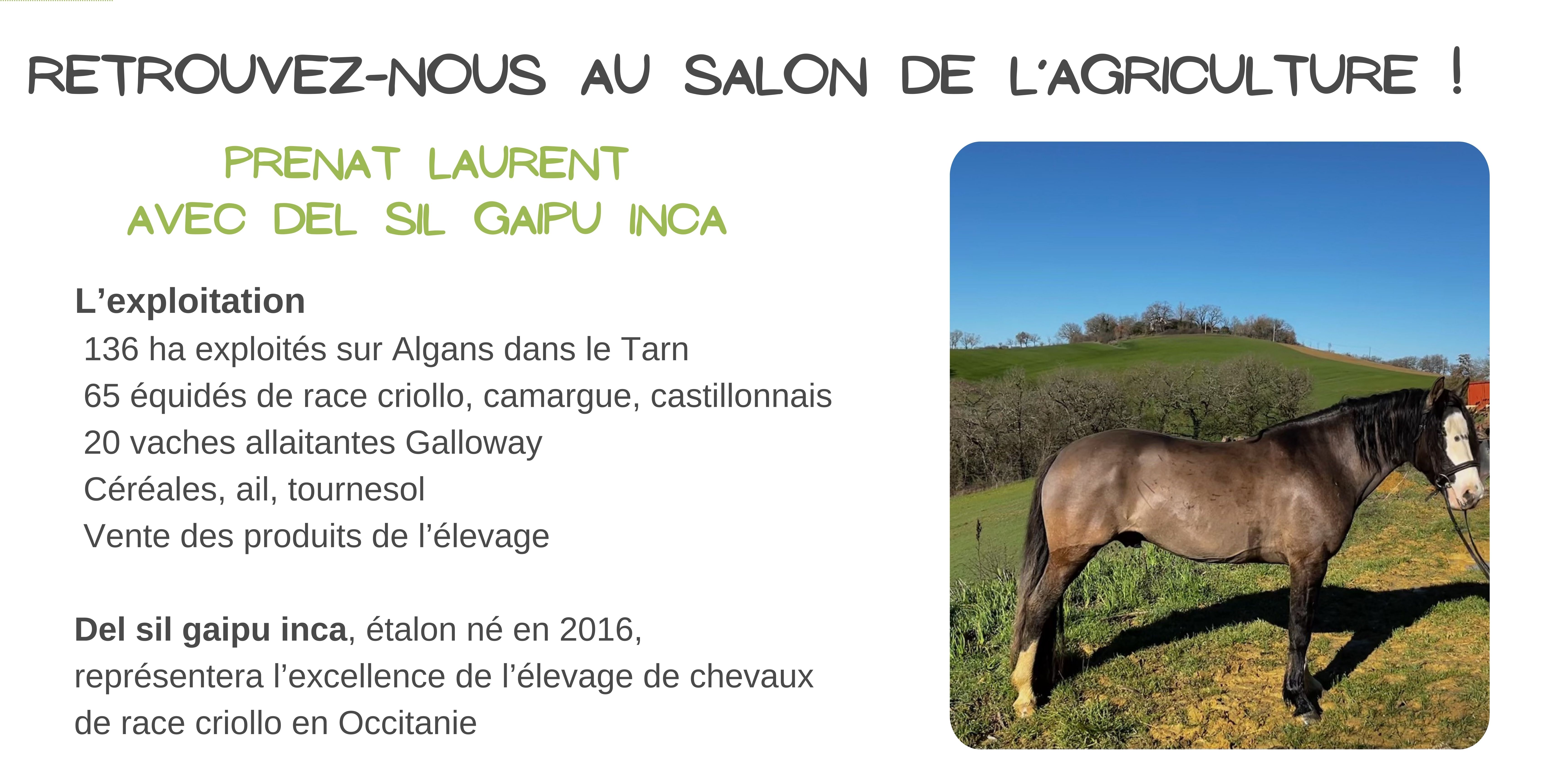 PRENAT Laurent